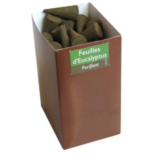 ENCENS MASALA - АРОМАТНА ШИШАРКА ЕВКАЛИПТ MASALA - 1 бр