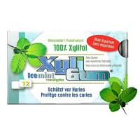 XYLI GUM - ДЪВКА С КСИЛИТОЛ ICE MINT - 12 бр